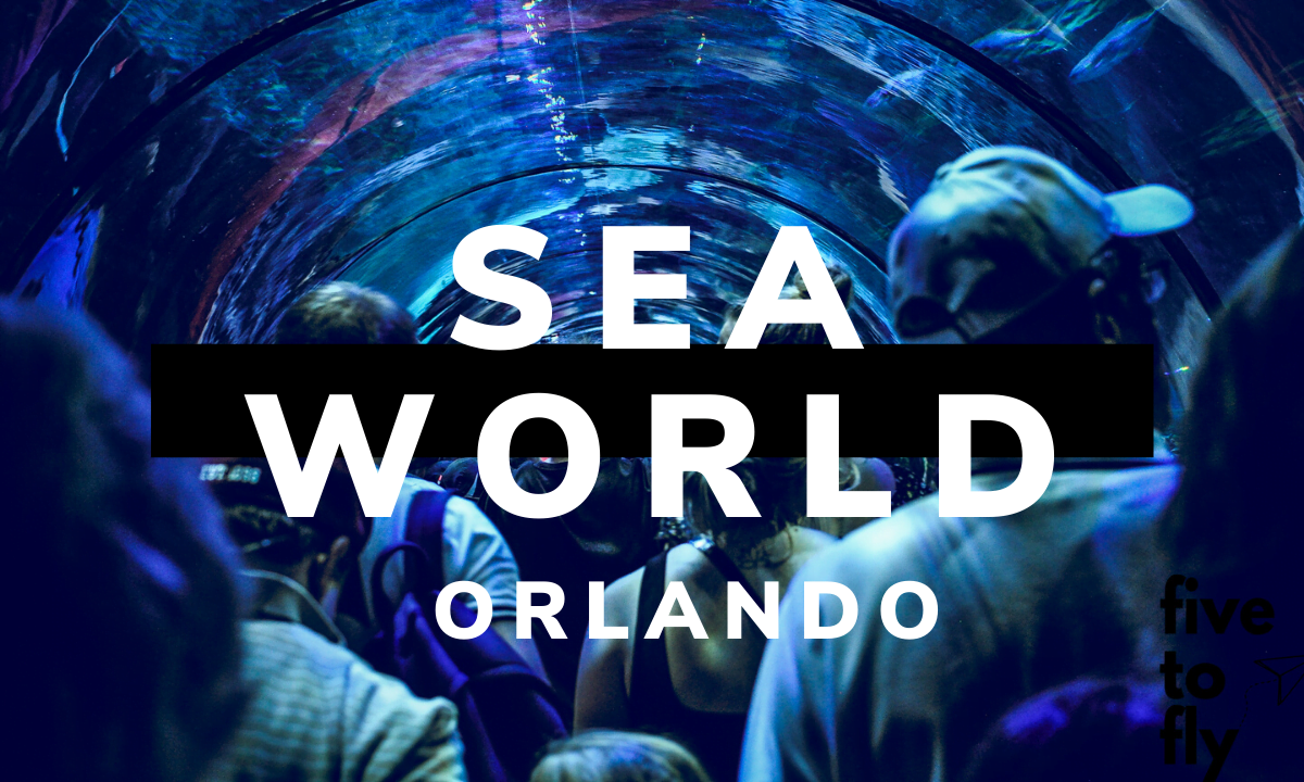 Sea World Orlando. Tylko jeden powód, dla którego nie pojechaliśmy do Disneya.