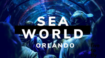 Sea World Orlando. Tylko jeden powód, dla którego nie pojechaliśmy do Disneya.