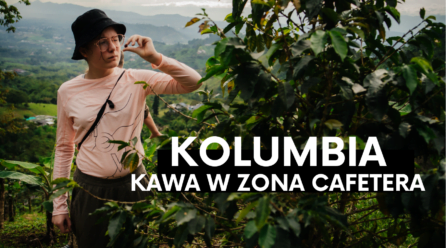 Zona Cafetera. Tam gdzie rośnie kawa.