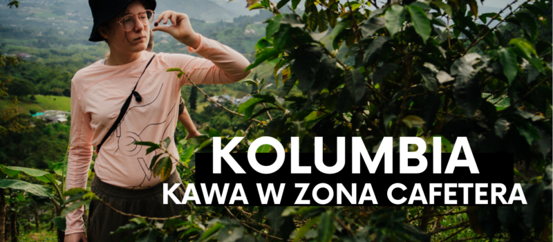 Zona Cafetera. Tam gdzie rośnie kawa.