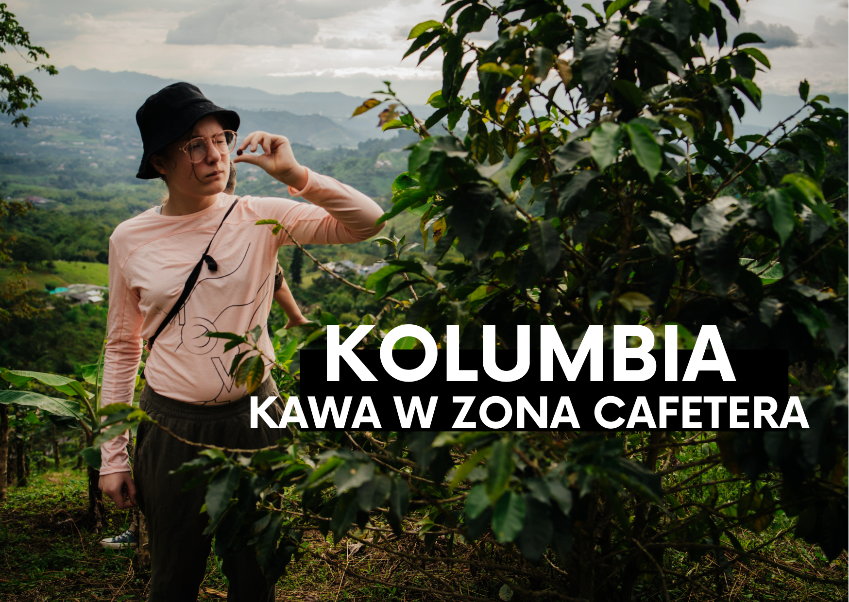 Zona Cafetera. Tam gdzie rośnie kawa.