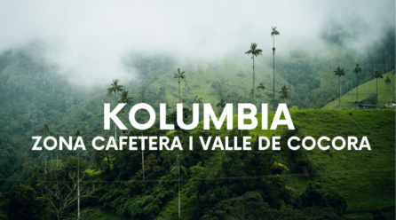 Zona Cafetera i Valle de Cocora. Zwiedzanie na luzie.
