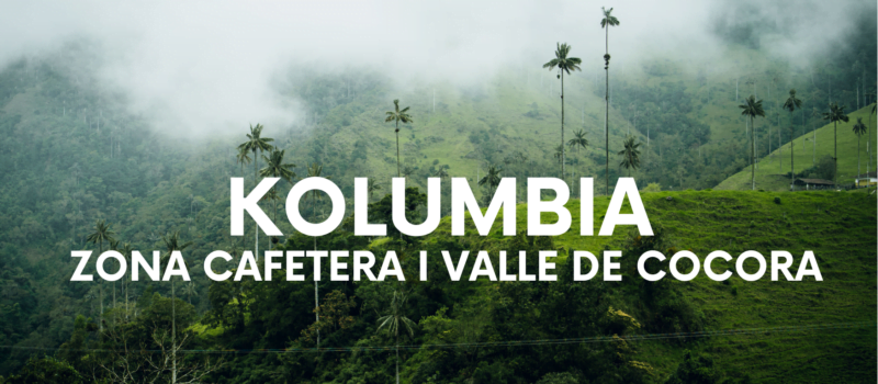 Zona Cafetera i Valle de Cocora. Zwiedzanie na luzie.