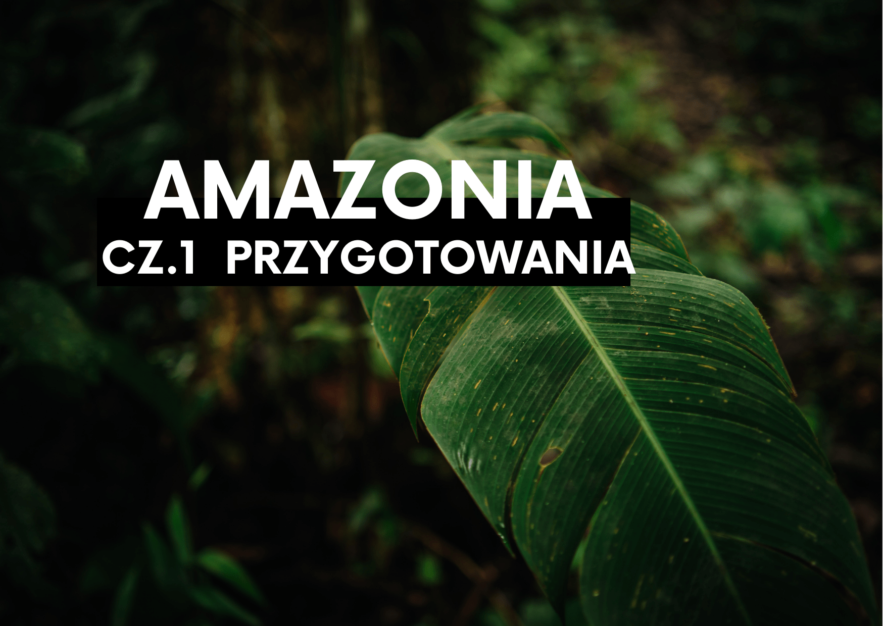 “Byliście już kiedyś w dżungli?” Amazonia dla początkujących. Cz.1- przygotowania.