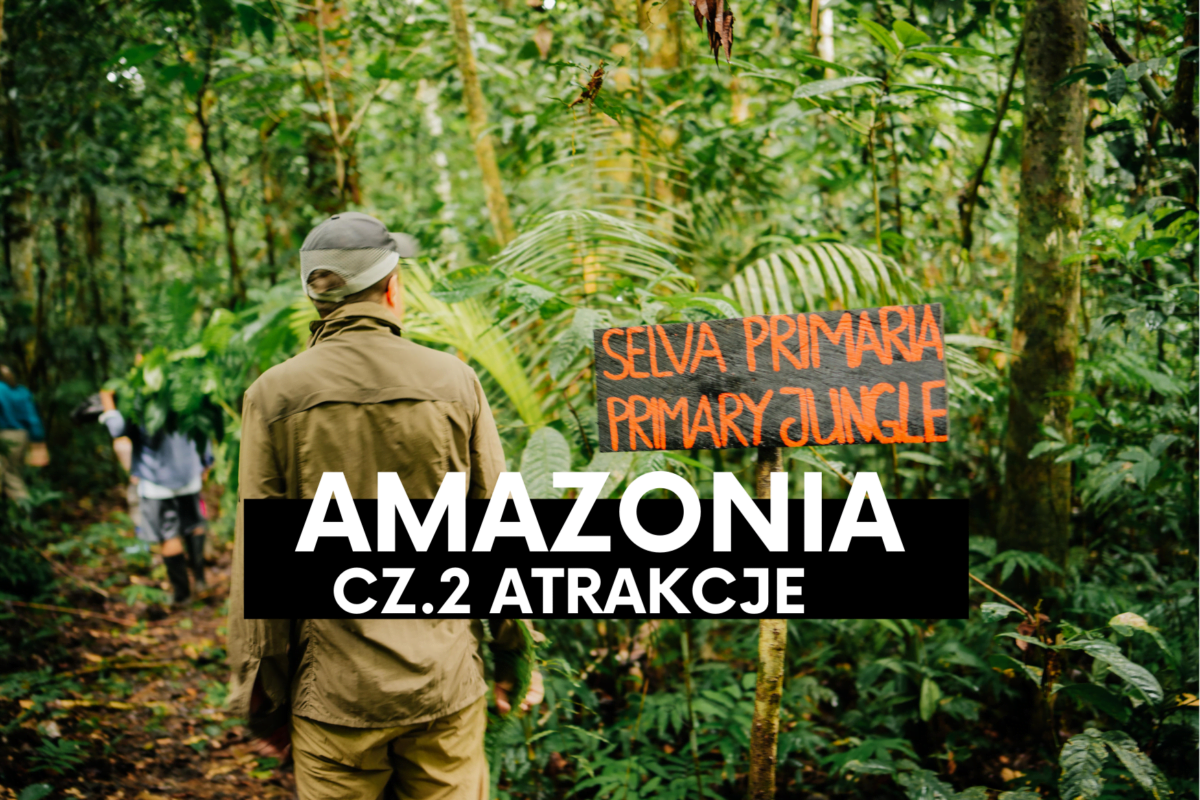 Amazonia cz.2 – Jakie niespodzianki kryje dżungla?