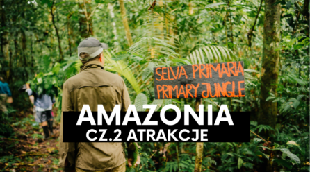 Amazonia cz.2 – Jakie niespodzianki kryje dżungla?