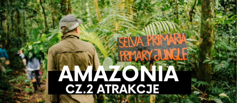 Amazonia cz.2 – Jakie niespodzianki kryje dżungla?