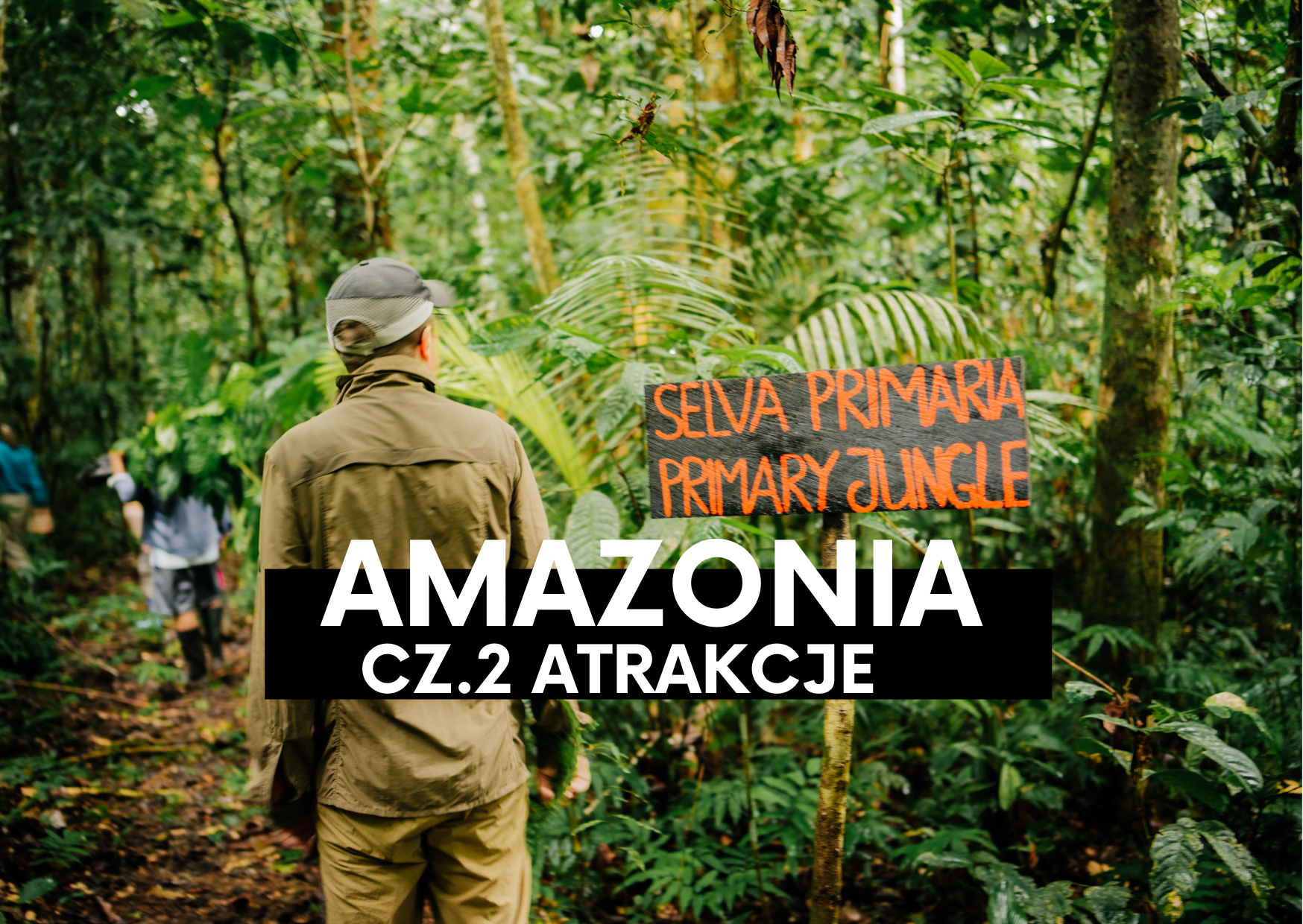 Amazonia cz.2 – Jakie niespodzianki kryje dżungla?