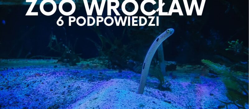 Zoo Wrocław- jak zwiedzać? 6 podpowiedzi na sprytne ogarnięcie zoo we Wrocławiu