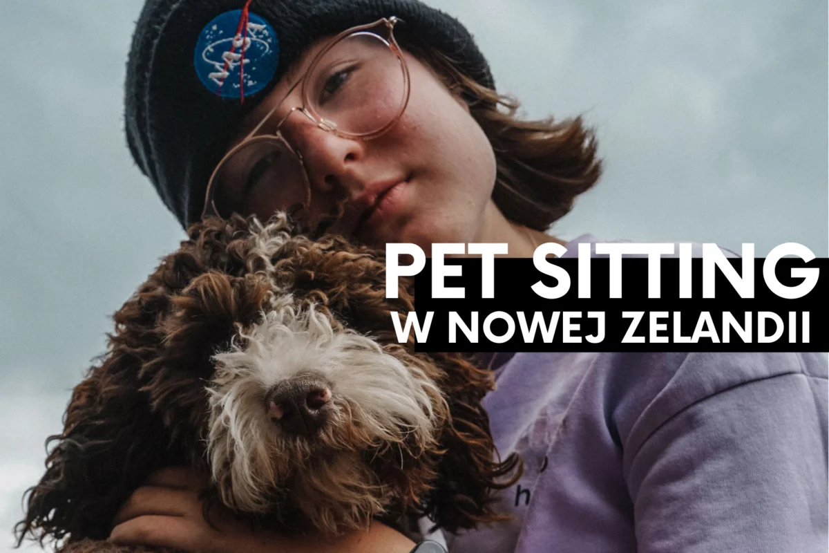 Pet sitting- jak zacząć?