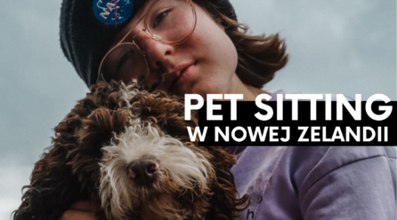 Pet sitting- jak zacząć?