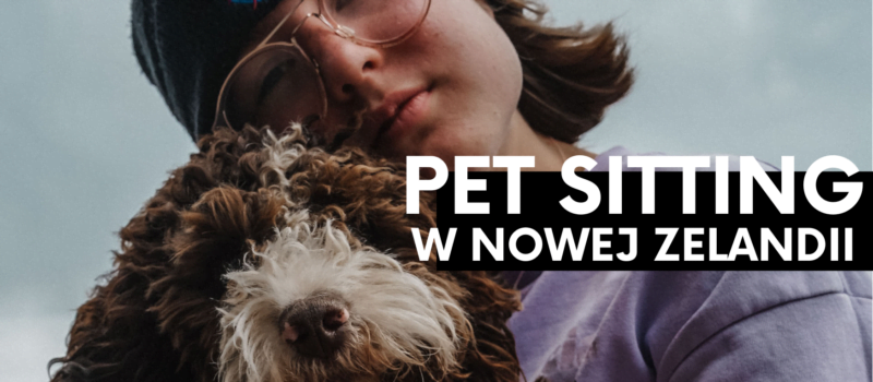 Pet sitting- jak zacząć?