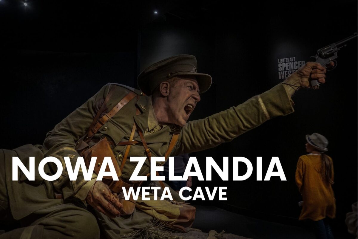 Weta Cave w Nowej Zelandii- czy warto?
